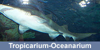 Tropicarium-Oceanarium