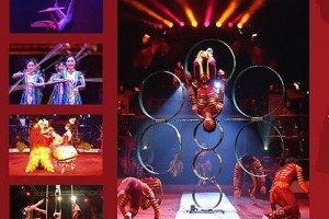 Гастроли Китайского национального цирка в Венгрии