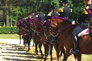 Фестиваль и традиции коневодства Венгрии