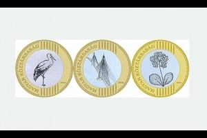 Дизайн монеты вынесен на всеобщее голосование