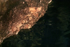 Система пещер Яноша Мольнара/Molnár János-barlang