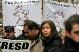 Венгерские фермеры протестуют против низких цен на молоко
