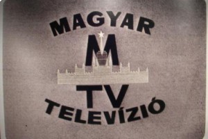 Венгрию призывают отменить телекоммуникационный налог