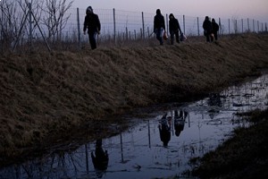 Отряд венгров с четырьмя тепловизорами защитит Сербию от мигрантов