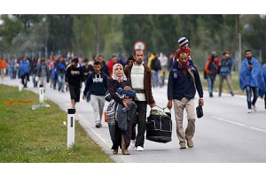 Австрия перекрыла автомагистраль на границе с Венгрией