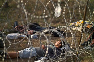 Венгрия за день построит забор на границе с Хорватией