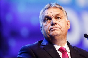 Парламентские выборы в ЕС принесли победу партии Fidesz