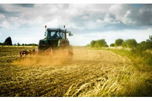 Только 5% землевладельцев занимаются сельским хозяйством в Венгрии