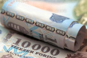 Минимальная заработная плата в Венгрии может вырасти