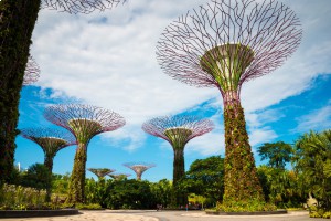 Парк деревьев в Сингапуре 