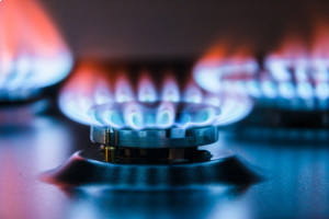 В Венгрии объяснили готовность платить за газ рублями