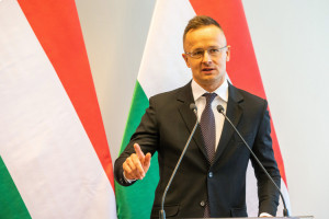Венгрия заявила о готовности защитить венгров на Украине