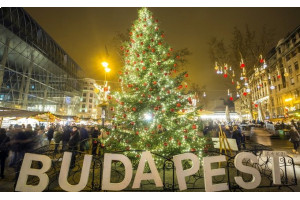 Цена на рождественскую елку в Венгрии