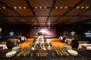 Деловое мероприятие или корпоративная вечеринка в Венгрии Деловое мероприятие или корпоративная вечеринка в Венгрии