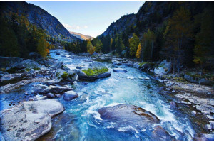 Исследования показывают уральское происхождение венгров Исследования показывают уральское происхождение венгров