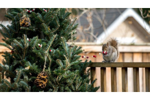 Лучшие рождественские ярмарки Будапешта Лучшие рождественские ярмарки Будапешта