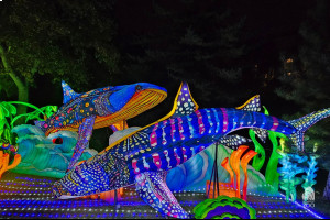 Фестиваль китайских фонарей в зоопарке Будапешта