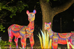 Фестиваль китайских фонарей в зоопарке Будапешта Фестиваль китайских фонарей в зоопарке Будапешта