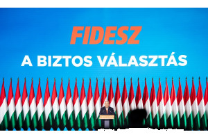 Стрельба по активисту правящей партии Венгрии