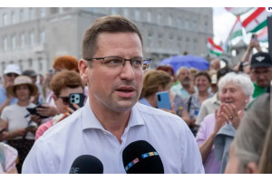Лидер фракции «Фидес» Гергей Гуйяш ушёл в отставку