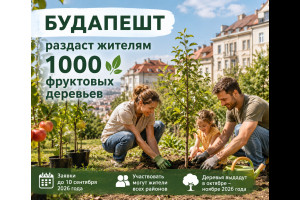 Историческое золото Венгрии!