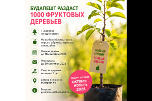 Как получить бесплатное фруктовое дерево в Будапеште Как получить бесплатное фруктовое дерево в Будапеште