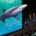 В Венгрии откроется первый кинотеатр IMAX