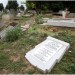 В Венгрии осквернено еврейское кладбище