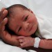 В Венгрии ребенок родился через три месяца после смерти мозга матери