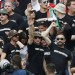 Венгерские фанаты продемонстрировали нацистское приветствие на матче с Исландией