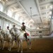 Королевская школа верховой езды Венгрии будет восстановлена