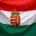 Украинские националисты попытались сжечь флаг Венгрии