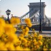 Будапешт занимает почетное место в списке пригодных для жизни городов