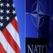 США призвали Венгрию разбираться с Украиной без помощи НАТО