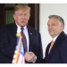 NYT: Орбан - ключевой фактор негативного взгляда Трампа на Украину
