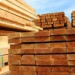 GVH вносит предложения по устранению перекосов на рынке древесины