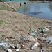 Экологический скандал на Закарпатье
