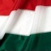 Предложение председателя социалистической парии Венгрии
