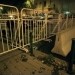 Протесты в Венгрии возобновились - 10 пострадавших
