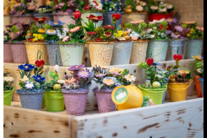 Рождественские ярмарки Будапешта Рождественские ярмарки Будапешта