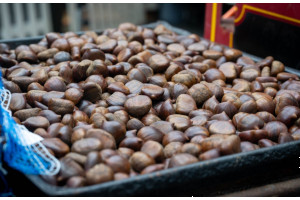 Рождественские ярмарки Будапешта Рождественские ярмарки Будапешта