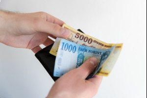 В Венгрии вырос объем наличных денег