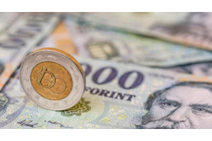 Венгрия лидирует по инфляции в Вышеградской группе Венгрия лидирует по инфляции в Вышеградской группе